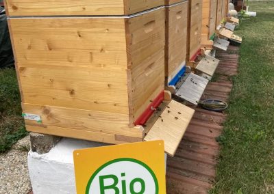 Bio Austria Tafel vor Bienenstöcken