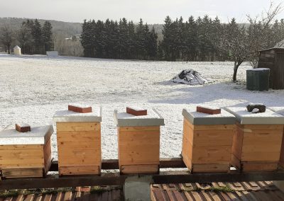 Bienenstöcke im Schnee