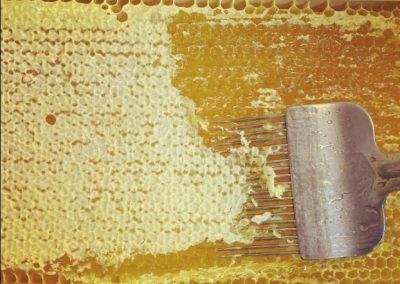 Entdeckelungsgabel Bienenwachs Bienenhonig