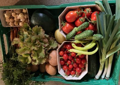 Gemüse in einer Kiste Reinstrom Naturmanufaktur
